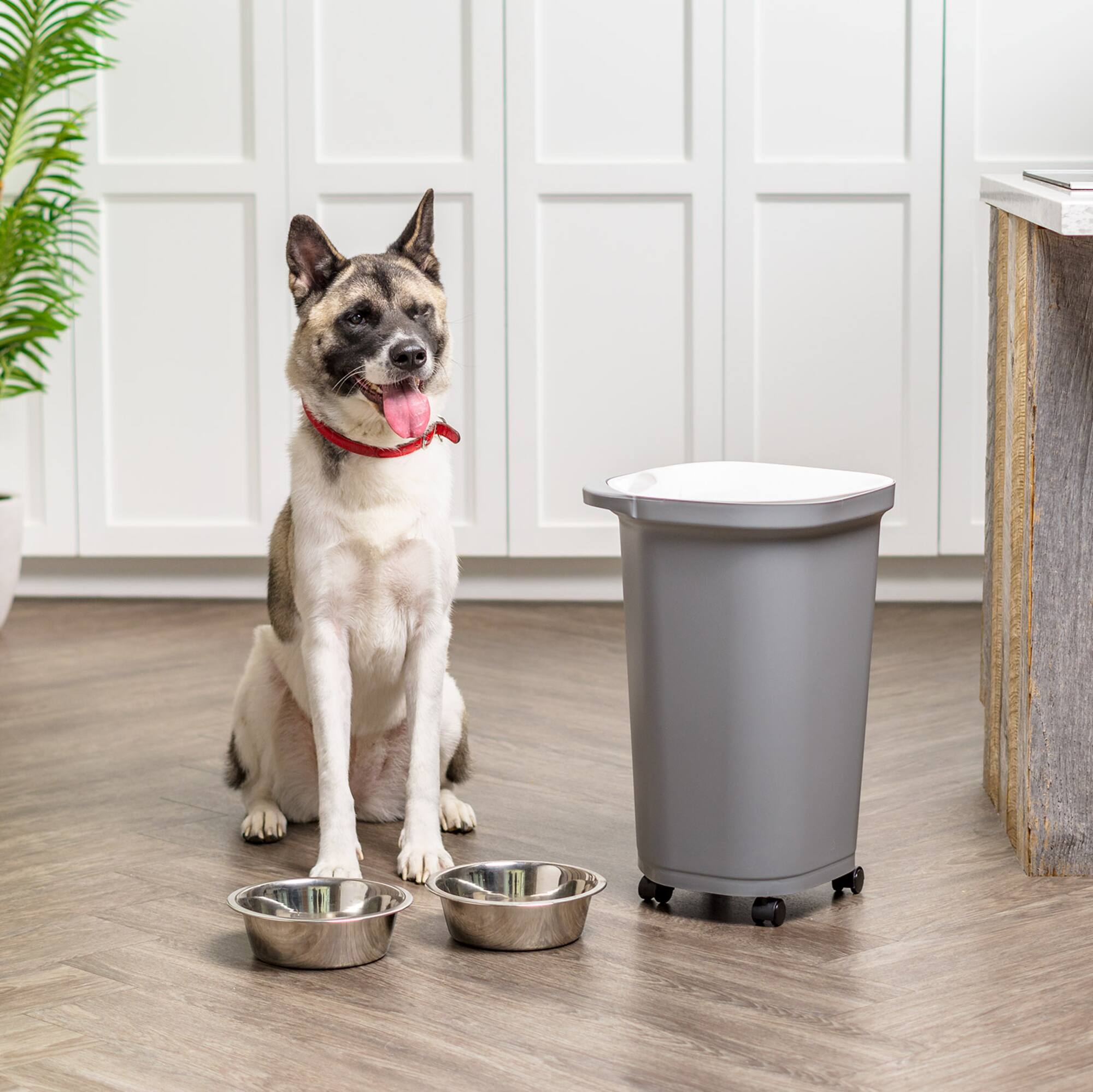 Iris® 25 lbs. Airtight Pet Food Container, Gray